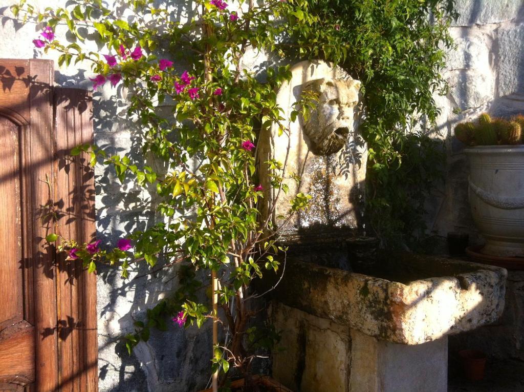 Hôtel Les Alizés Cavalaire-sur-Mer Exterior foto